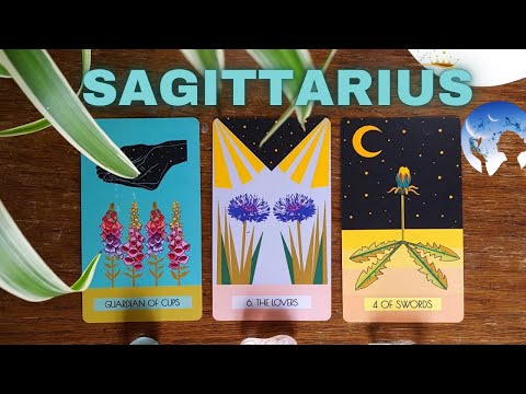 Видео: СТРЕЛЕЦ ❤️✨,🥹КТО-ТО СТРОИТ ПЛАН, ЧТОБЫ ПРИЙТИ К ВАМ!! ❤️ТЫ ВЫЙДЕШЬ ЗАМУЖ ЗА ЭТОГО ЧЕЛОВЕКА 💍🔥НОЯБРЬ