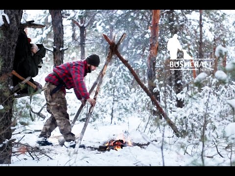 Видео: ПОХОД В ЛЕС ЗИМОЙ С НОЧЁВКОЙ (нодья, хаски, мясо на костре)