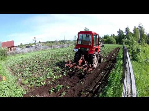 Видео: Трактор Т-25. Неудачное окучивание картофеля. Половину зафрезеровал, посадил ячмень.