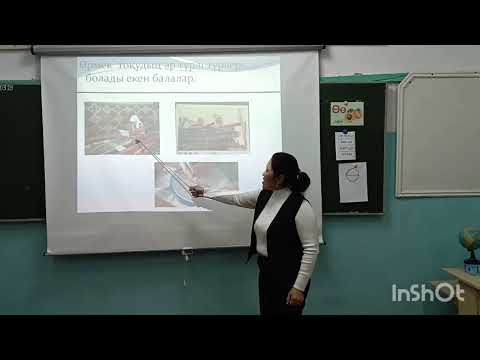 Видео: 28 октября 2025 г.