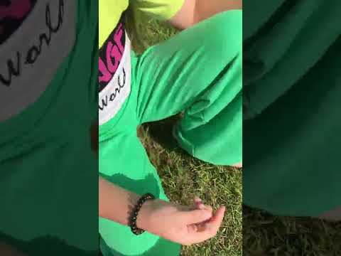 Видео: Знакомство Джесси Кало и Лекси. ещё не все собаки что?!