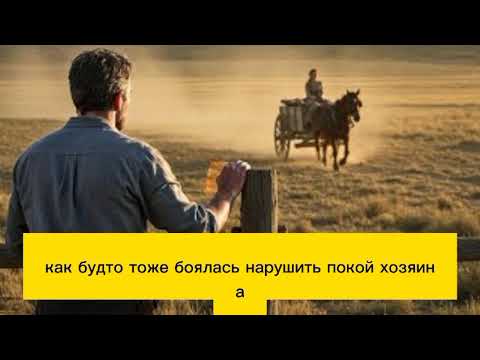 Видео: Семья ОТПРАВИЛА «вдову» как НАКАЗАНИЕ — но она оказалась СОКРОВИЩЕМ, о котором он МЕЧТАЛ