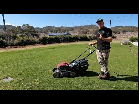 Видео: Уход за газоном на моем паттинг-грине в конце зимы