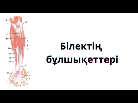 Видео: БІЛЕК БҰЛШЫҚЕТТЕРІ.