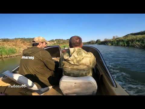 Видео: Жор сазана.В этой реке рыба кишит.Часть1