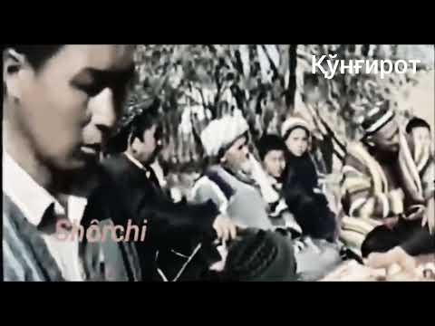 Видео: Шоберди Бахши Болтаев Тажи бобо юбилейида Шўрчи 