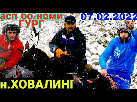 Видео: БУЗКАШИ 2022 | БУЗКАШИ ХОВАЛИНГ 2022 | Бузкаши дар нохияи Ховалинг дехаи дараи Мухтор 07.02.2022