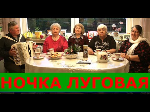 Видео: НОЧКА ЛУГОВАЯ (СЕНОКОСНАЯ ПОРА) текст в описании