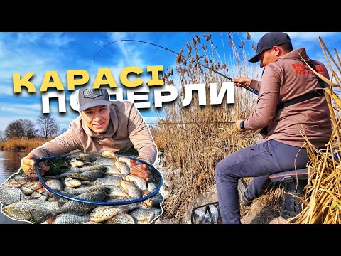 Видео: ⚠️ПОПАЛИ НА ЖОР КАРАСЯ‼️ Карасі клюють з першого закиду🔥 Весняна рибалка на боковий кивок 2025🎣