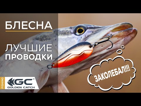 Видео: КАК ЛОВИТЬ НА КОЛЕБАЛКИ. Лучшие ПРОВОДКИ. Секреты и нюансы!