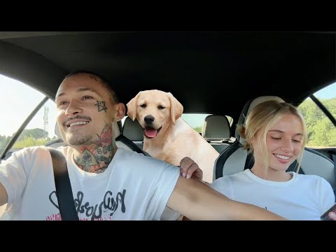 Видео: МОРГЕНШТЕРН И ВАСИЛЕНКО про ДЕТЕЙ и СЕМЬЮ