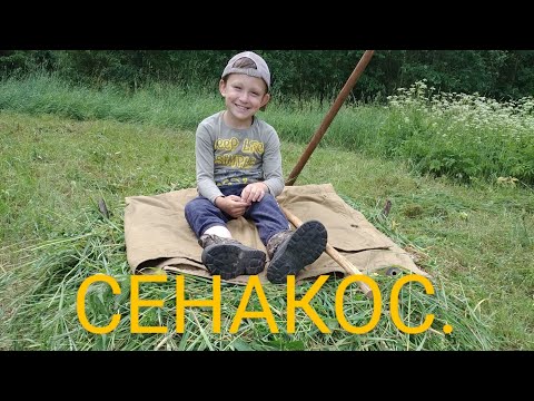 Видео: Сенакос.