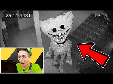 Видео: СКРЫТЫЕ КАМЕРЫ засняли ХАГГИ ВАГГИ в МОЕМ ДОМЕ! монстр из Poppy playtime пришел за мной