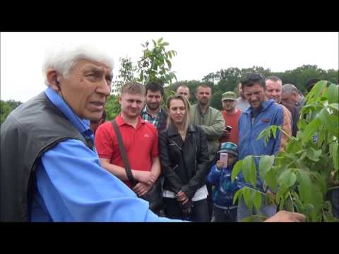 Видео: Семинар по ореховодству  Практическая часть  Май 2017