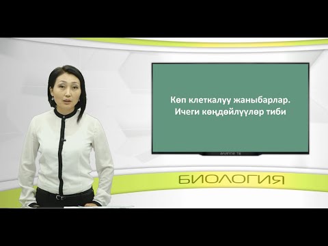 Видео: Зоология 7 класс 7 сабак
