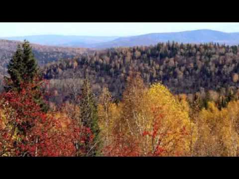 Видео: Алиса - Стерх.