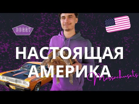 Видео: Как живут в Массачусетсе🇺🇸? Worcester и американский кампус