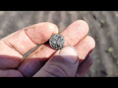 Видео: ГРЯЗЕВЫЕ ПОКАТУШКИ ЗА СТАРИНОЙ,ОТЛИЧНЫЙ РЕЗУЛЬТАТ!🔥#metaldetecting #поисксметаллоискателем #коп2024