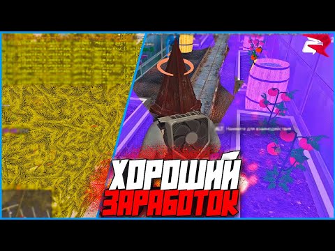 Видео: Что лучше для фарма - Теплица или Сад? Вы удивитесь! | #1184 | Родина RP