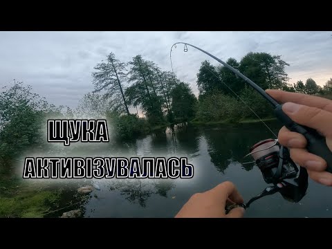 Видео: ЩУКА-БАРАКУДА ОСІННЮ! Риболовля на мікрорічці Івано-Франківська!