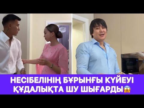 Видео: Несібелінің бұрынғы күйеуі құдалықта шу шығарды😱