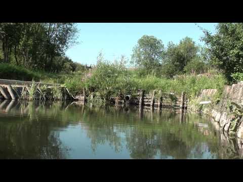 Видео: Утренняя природа-тест видеокамеры SONY-HDR-CX110E