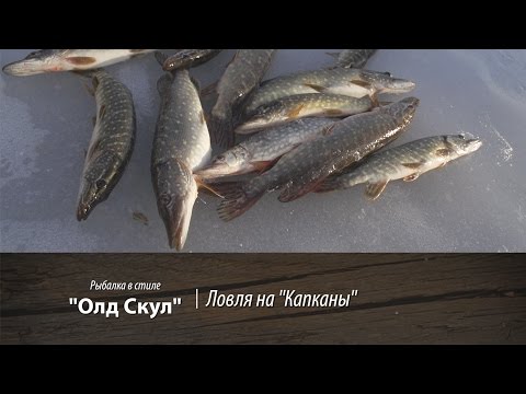 Видео: "Ловля на "Капканы Зимой". Рыбалка в стиле "Олд Скул" 11 серия