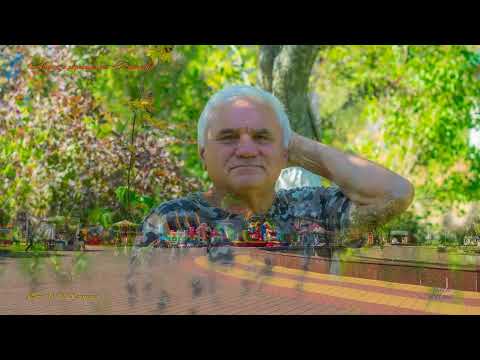 Видео: Окрестности Солигорска в августе 2025г S