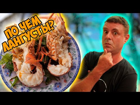 Видео: Ресторанчик на берегу моря! Тестим аквариумы!