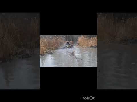 Видео: Наши покатухи,Воронежская область!! 