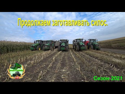 Видео: Продолжаем заготавливать силос.