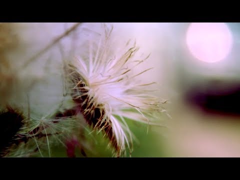 Видео: EЛEVEN feat. ТЕАТР ЯДА "The Road / Дорога" © 2010