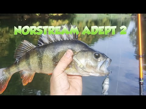 Видео: Norstream Adept 2 - первый тест. Хорошая щука на OSP Rudra