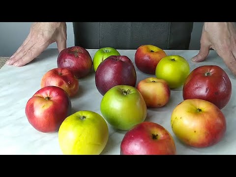 Видео: Сделаем домашний яблочный уксус с секретом. Из осенних яблок (редакция).