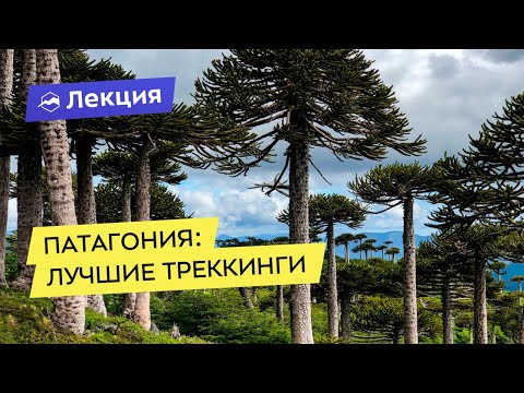 Видео: Патагония: Лучшие треккинги