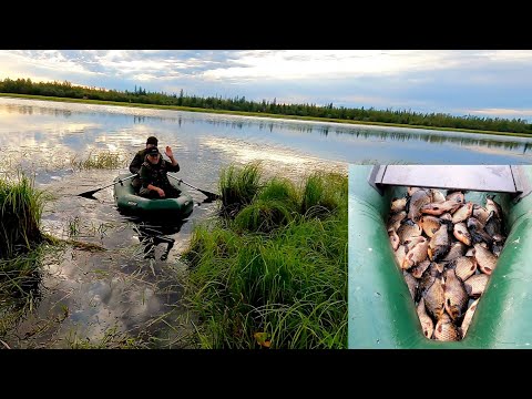 Видео: Күһүҥҥү кус 2025