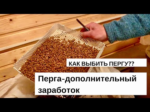 Видео: КАК ВЫБИТЬ ПЕРГУ?? ПЕРГА КАК ДОПОЛНИТЕЛЬНЫЙ ДОХОД.