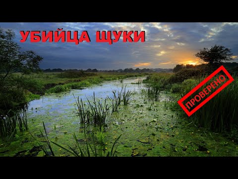 Видео: НА ТАКИЕ СПИНИНГОВЫЕ ОСНАСТКИ ЛОВИТЬ ЗАПРЕЩЕНО! САМАЯ "рабочая" ПРИМАНКА! Тактика, проводка...