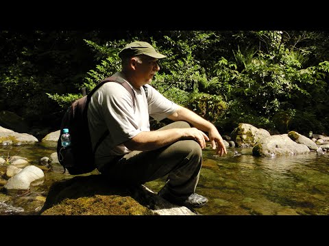 Видео: В Грузию за жуками и бабочками