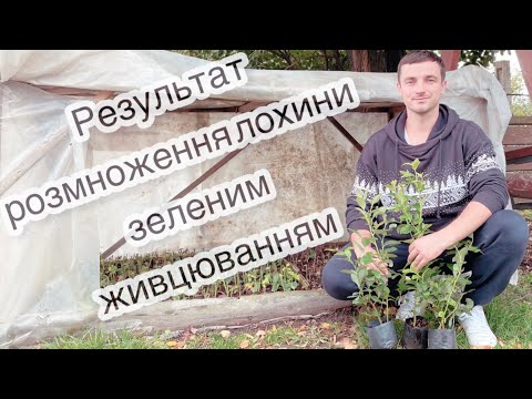 Видео: То ж чи легко розмножити ЛОХИНУ??? 19.09.22