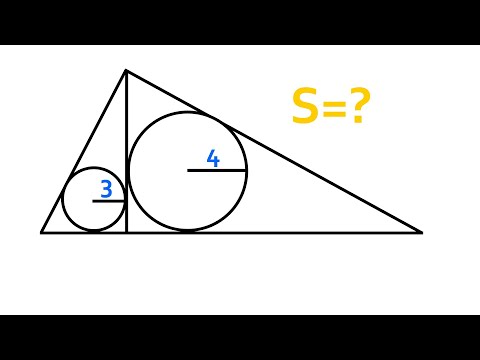 Видео: Това не се учи в училище