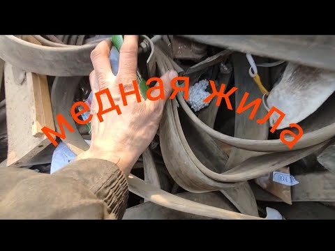 Видео: Свалка Сбор Металлолома Находки