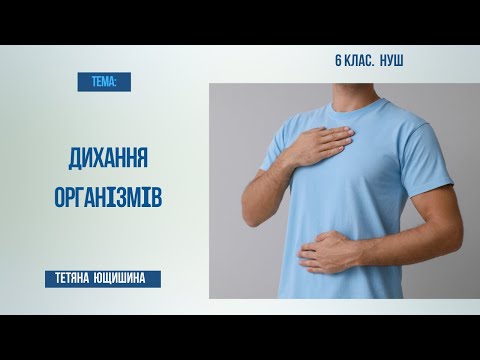 Видео: Урок 28. Дихання організмів. 6 клас. НУШ.