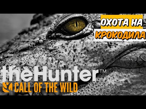 Видео: ОХОТА НА ГРЕБНИСТОГО КРОКОДИЛА🐊 В theHunter Call of the Wild - Emerald Coast Australia