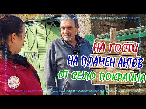 Видео: Живот на село: какъв е животът на село на обикновения човек?