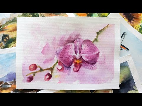 Видео: Мастер-класс по акварели. Рисуем орхидею. Как нарисовать орхидею. Watercolour painting tutorial