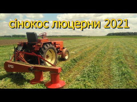 Видео: Сезон сінокосу 2021! Косимо люцерну польською косаркою Tad Len 1.35м та трактором Т25