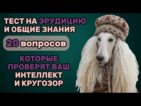 Видео: 20 ВОПРОСОВ Этого ТЕСТА на ЭРУДИЦИЮ для Проверки Твоего Интеллекта и ОБЩИХ ЗНАНИЙ!