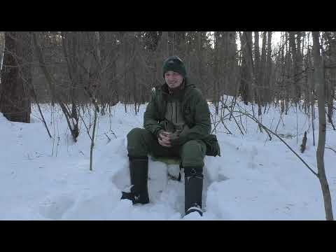 Видео: Короеды и другие стволовые вредители. Часть 4