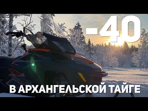 Видео: ЭКСТРЕМАЛЬНАЯ РЫБАЛКА В ДИКОЙ ТАЙГЕ!  Рыболовная экспедиция в Архангельскую тайгу. Часть1.